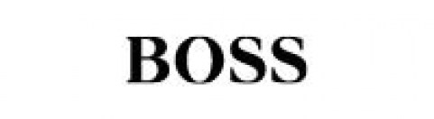 Boss.jpg