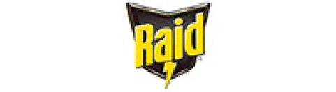 raid